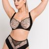 Lingerie * | Curvy Kate Scantilly Fallen Angel High Waist Briefs Black