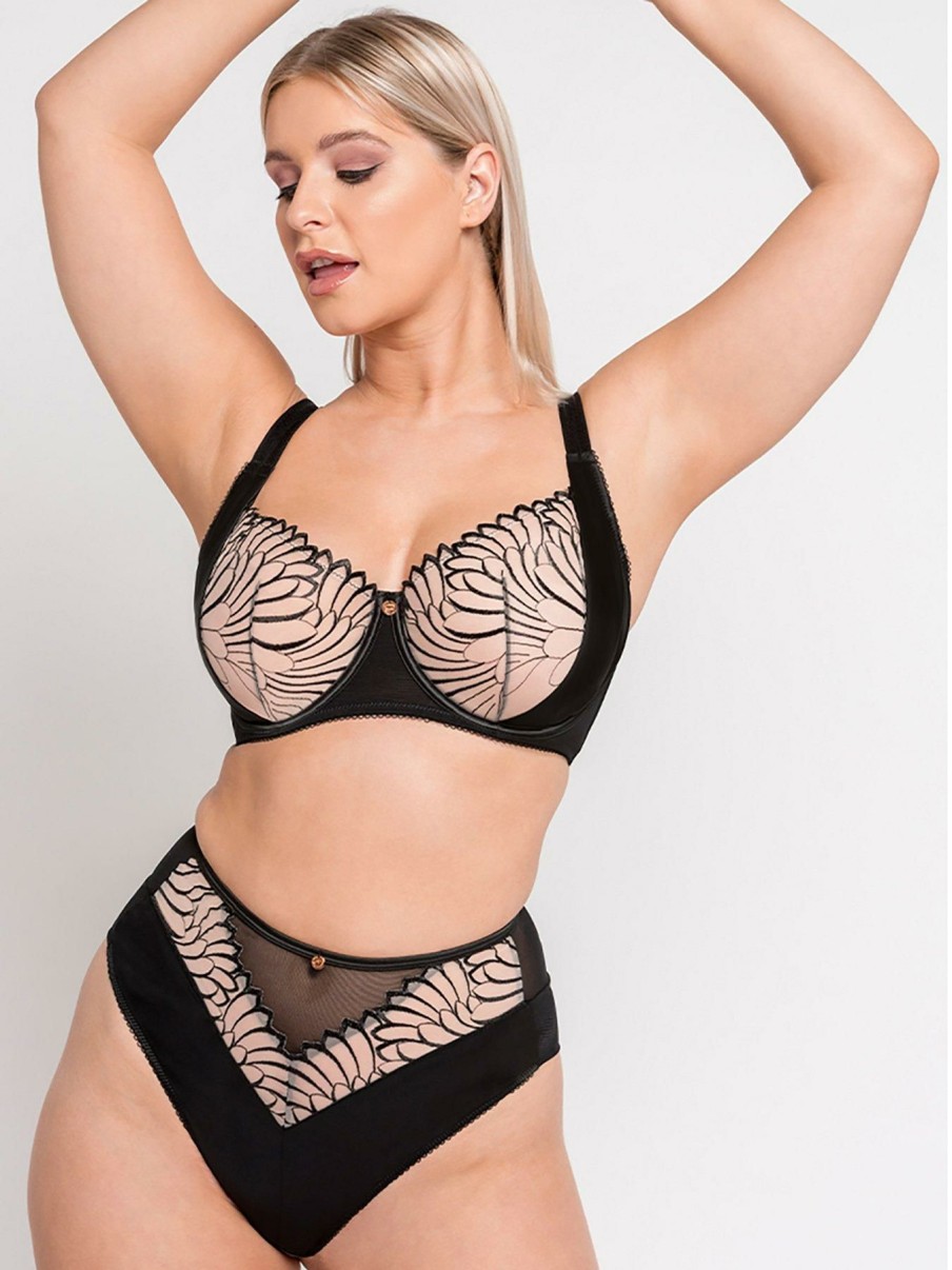 Lingerie * | Curvy Kate Scantilly Fallen Angel High Waist Briefs Black