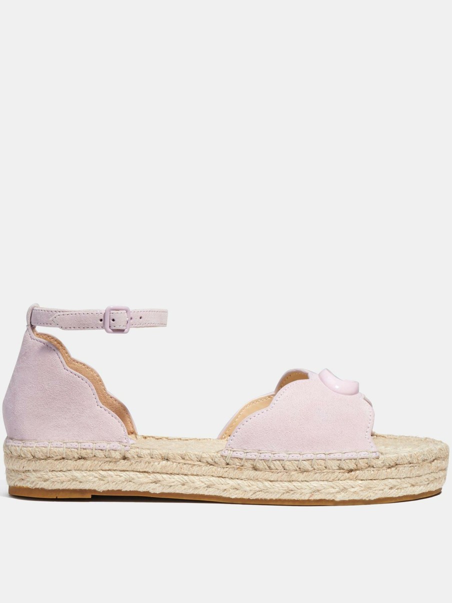 Flip Flops & Sandals * | Coach Dillon Suede Espadrilles Violet